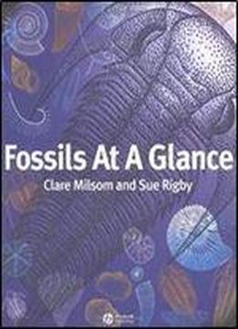 Fossils At A Glance
