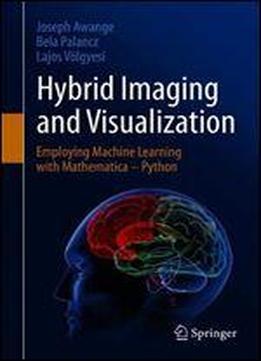 Hybrid Imaging And Visualization: Employing Machine Learning With Mathematica - Python