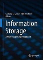 Information Storage: A Multidisciplinary Perspective