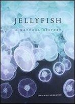 Jellyfish: A Natural History