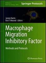 Macrophage Migration Inhibitory Factor: Methods And Protocols