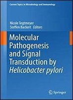 Molecular Pathogenesis And Signal Transduction By Helicobacter Pylori