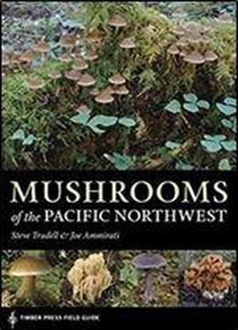 Mushrooms Of The Pacific Northwest