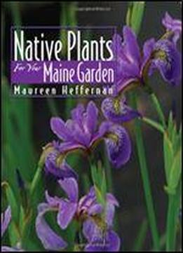 Native Plants For Your Maine Garden