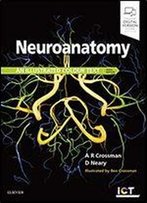 Neuroanatomy: An Illustrated Colour Text 6th Edition