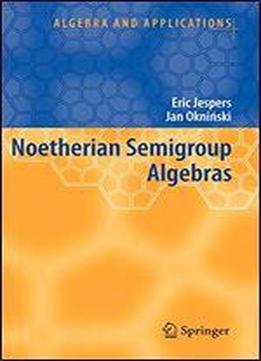 Noetherian Semigroup Algebras (algebra And Applications)