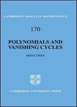 Polynomials And Vanishing Cycles