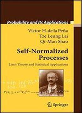 Self-normalized Processes: Limit Theory And Statistical Applications