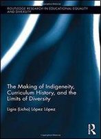 The Making Of Indigeneity, Curriculum History, And The Limits Of Diversity