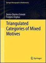 Triangulated Categories Of Mixed Motives (Springer Monographs In Mathematics)