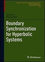 Boundary Synchronization For Hyperbolic Systems (Progress In Nonlinear Differential Equations And Their Applications)