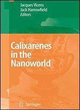 Calixarenes In The Nanoworld