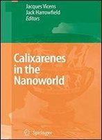 Calixarenes In The Nanoworld