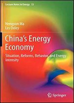 Chinas Energy Economy: Situation, Reforms, Behavior, And Energy Intensity