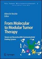 From Molecular To Modular Tumor Therapy: Tumors Are Reconstructible Communicatively Evolving Systems (The Tumor Microenvironment)