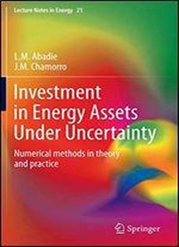 Investment In Energy Assets Under Uncertainty: Numerical Methods In Theory And Practice