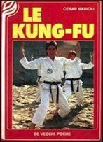Le Kung Fu