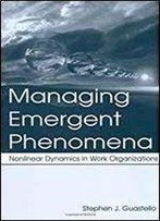 Managing Emergent Phenomena: Nonlinear Dynamics In Work Organizations