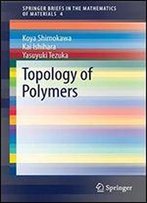 Topology Of Polymers (Springerbriefs In The Mathematics Of Materials)