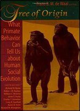 Tree Of Origin: What Primate Behavior Can Tell Us About Human Social Evolution