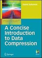 A Concise Introduction To Data Compression (Undergraduate Topics In Computer Science)