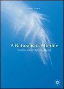 A Naturalistic Afterlife: Evolution, Ordinary Existence, Eternity