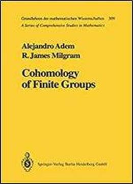 Cohomology Of Finite Groups (grundlehren Der Mathematischen Wissenschaften)