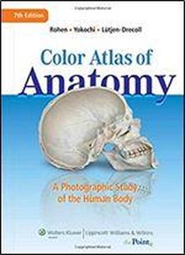 Color Atlas Of Anatomy: A Photographic Study Of The Human Body (point (lippincott Williams & Wilkins))