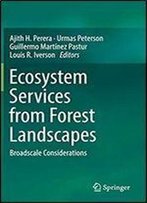 Ecosystem Services From Forest Landscapes: Broadscale Considerations