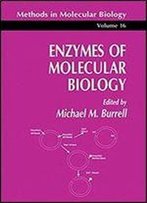 Enzymes Of Molecular Biology