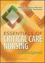 Essentials Of Critical Care Nursing: A Holistic Approach (Point (Lippincott Williams & Wilkins))