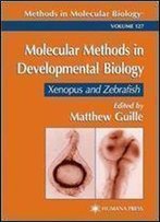 Molecular Methods In Developmental Biology: Xenopus And Zebrafish (Methods In Molecular Biology)