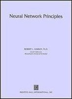 Neural Network Principles