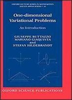 One-Dimensional Variational Problems: An Introduction (Oxford Lecture Series In Mathematics And Its Applications)