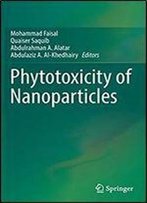 Phytotoxicity Of Nanoparticles