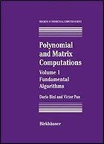 Polynomial And Matrix Computations: Fundamental Algorithms (Progress In Theoretical Computer Science)