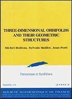 Three-Dimensional Orbifolds And Their Geometric Structures (Panoramas Et Syntheses)