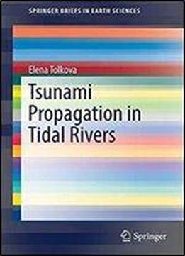 Tsunami Propagation In Tidal Rivers