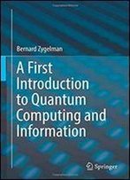 A First Introduction To Quantum Computing And Information