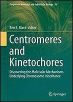 Centromeres And Kinetochores: Discovering The Molecular Mechanisms Underlying Chromosome Inheritance