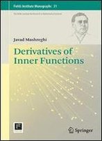 Derivatives Of Inner Functions (Fields Institute Monographs)