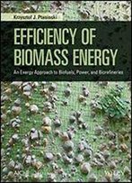 Efficiency Of Biomass Energy: An Exergy Approach To Biofuels, Power, And Biorefineries