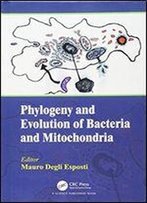 Phylogeny And Evolution Of Bacteria And Mitochondria