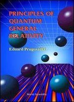 Principles Of Quantum General Relativity