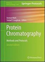 Protein Chromatography: Methods And Protocols