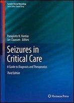 Seizures In Critical Care: A Guide To Diagnosis And Therapeutics (Current Clinical Neurology)
