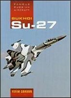 Sukhoi Su-27 (Famous Russian Aircraft)
