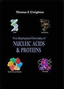 The Biophysical Chemistry Of Nucleic Acids And Proteins