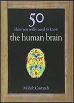 50 Human Brain Ideas You Really Need To Know