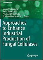 Approaches To Enhance Industrial Production Of Fungal Cellulases